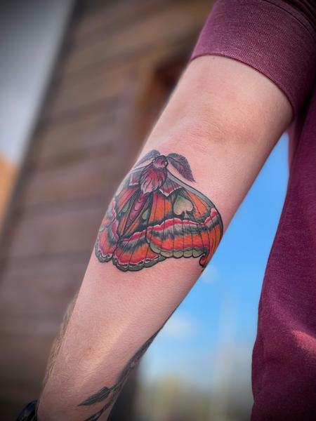 Tattoos - Color Moth  - 145844
